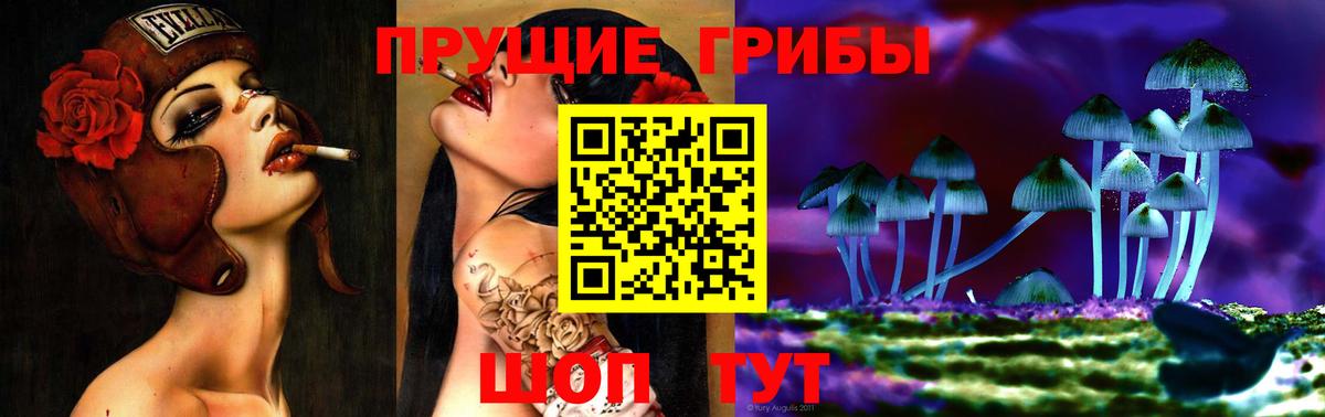 Галлюциногенные грибы мухоморы  Псилоцибиновые грибы Psilocybe  Коммунар  Вход с VPN 