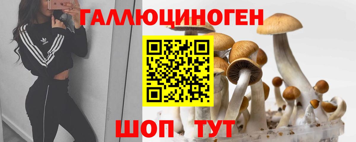 Псилоцибиновые грибы прущие грибы Коммунар